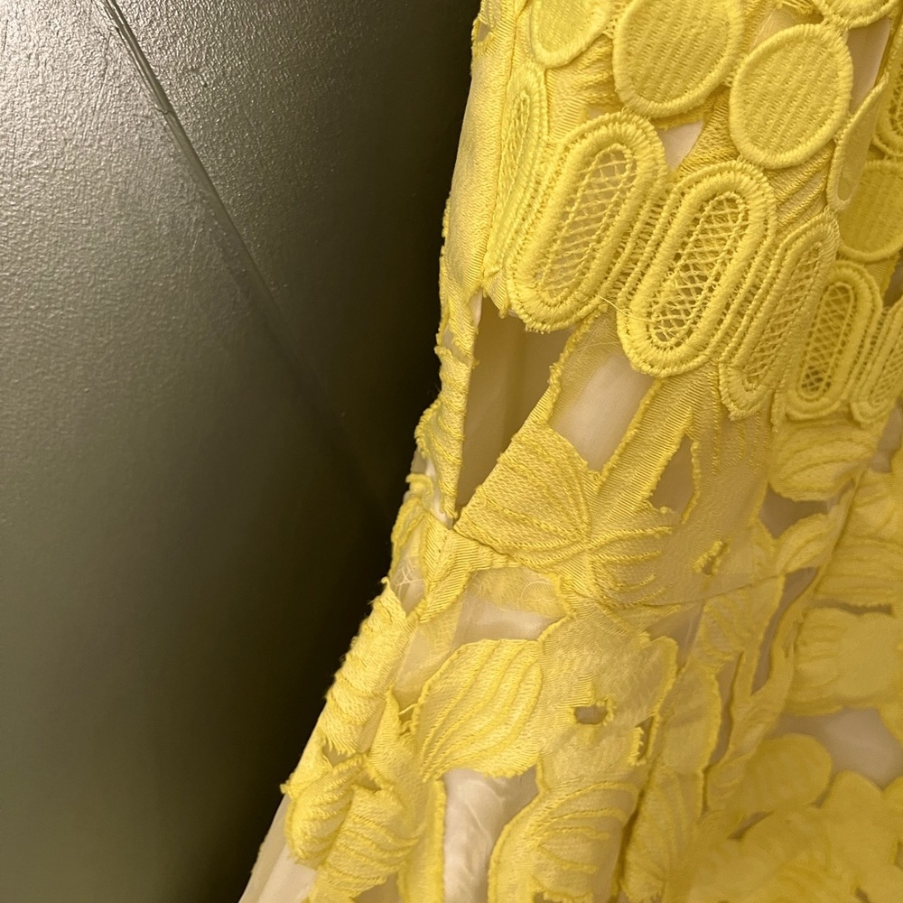 Antonio Melani Leta Organza Jacquard lace midi dress - Picture 4 of 6
